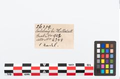 Etikett zu Bronzerollenkopfnadel (NHMW-PRAE-026389)